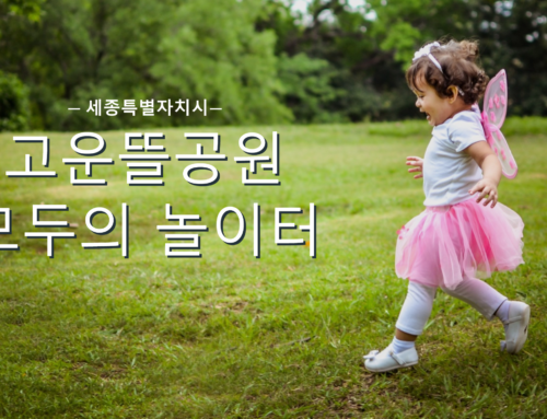 세종시 모두의 놀이터 1호