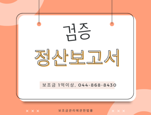 1억 이상의 보조금은 정산보고서의 적정성 검증 필요
